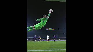 Goalkeepers Imposible Saves 😳youtubeshorts [upl. by Attenahs944]