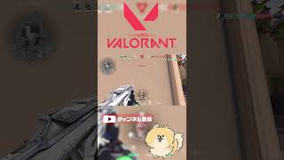 Kuronami【VALORANT】Shorts [upl. by Kcirddec]