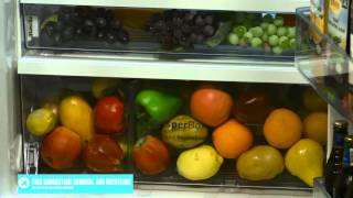 Bosch KDN64VL20A 525L Fridge appliance overview by product expert  Appliances Online [upl. by Sergent]