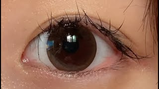 아이리스 클라렌 소울 브라운 보정 없는 솔직 리뷰  IRIS CLALEN SOUL BROWN Color Contact Lens Review [upl. by Shaver25]