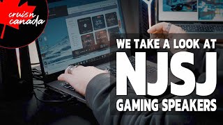 NJSJ 10W RGB Gaming Speakers  Our Review [upl. by Iak]