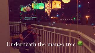 Underneath the mango tree violin cover 🌳 🎻 🎻 [upl. by Schweiker]