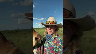 agriculture aussiecowgirl australianoutback [upl. by Haisa]