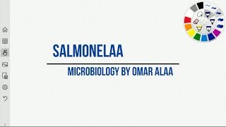 Salmonella Microbiology بالعربي Bioscience [upl. by Anelahs]