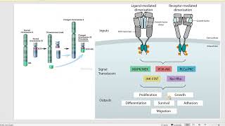 Myeloproliferative DisordersNeoplasms [upl. by Maris]