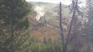 Bison Stampede Down Yellowstone Mountain [upl. by Efron662]