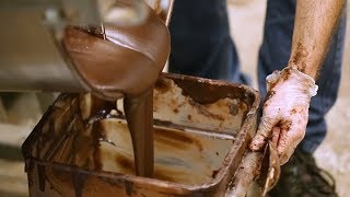 How Chocolate is Made [upl. by Higginson687]