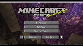 Make two Minecraft servers on one PC [upl. by Naquin]