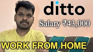 Ditto Work From Home Job  M Tube Jobs  Salary ₹43000  💻 Free [upl. by Aneehsram]