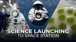 Science Launching on SpaceXs 31st Cargo Resupply Mission to the Space Station [upl. by Eissoj]