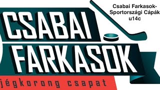 Csabai FarkasokSportországi Cápák u14c 20241123 Debrecen [upl. by Park]