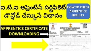 APPRENTICE RESULTS 2019  HOW TO DOWNLOAD APPRENTICE CERTIFICATE 2019 [upl. by Notnad]