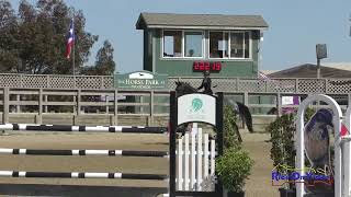 108S Bella Hayes on California King JR Training Show Jumping Woodside October 2024 [upl. by Ladew]