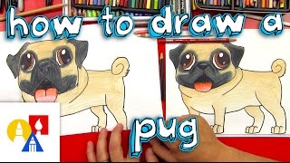 How To Draw A Pug [upl. by Lithea]