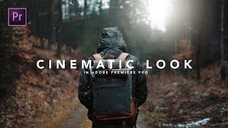 How to get the CINEMATIC LOOK in Premiere Pro Tutorial [upl. by Aynor663]