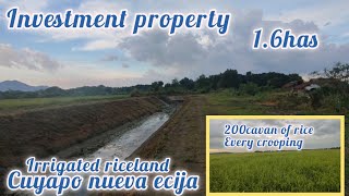 lot433 irrigated riceland 16has 1klmtrs from provencial road 20 frontge 2M only good investment [upl. by Aurelea854]