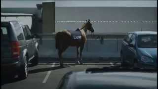 Dave Horse ident  2014 [upl. by Scornik70]