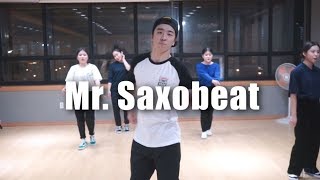 ALEXANDRA STAN  Mr Saxobeat ㅣJEEM WAACKING BASIC CLASS [upl. by Oba]