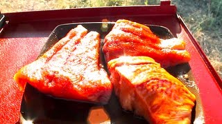 WORLDS GREATEST SALMON RECIPES [upl. by Resay]