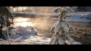 Lumix GH5 Cinematic  Winter at Hirvihaara Finland [upl. by Ylra]