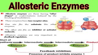 Allosteric Enzymes And Feedback Mechanism  Lecture No  28 [upl. by Carleen]