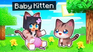 Playing as a BABY KITTEN In Minecraft [upl. by Jacklyn]