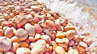 Beach Covered in Millions of Colourful Stones  Pebble Beach Exmouth [upl. by Leena]