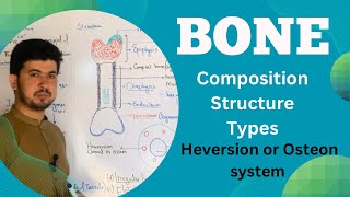 Bone tissue Structure and Composition MDCAT Biology Bone anatomy and Physiology Zia Academy [upl. by Beitch]