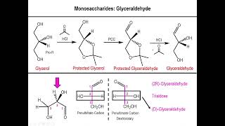 Lec10  The Fischer Projection of Glyceraldehyde [upl. by Schmitz]