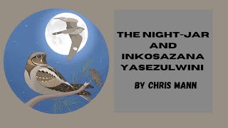 The nightjar and Inkosazana Yasezulwini by Chris Mann [upl. by Anait]