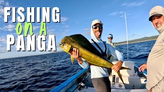 Unforgettable Fishing Adventure in Los Cabos  Baja California Sur [upl. by Gnet]