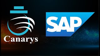 Canarys  SAP intelligent RPA Bot to automate Supplier Invoice Status Checks 4GJ [upl. by Lennox]