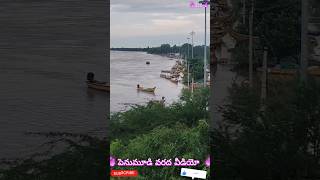 పెనుమూడి విలేజ్ వరద వీడియో  BT dryfish videos  penumudi village  penumudi ఘాట్  penumudi [upl. by Hendel374]