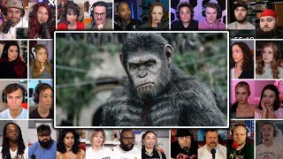 Caesar Speaks to Human  Dawn of the Planet of the Apes Reaction Mashup [upl. by Aelrac721]