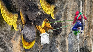 A Day in Life of Honey Harvester Extracting Wild Honey in Extreme Condition [upl. by Normac]