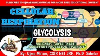 Cellular Respiration  Glycolysis  Biochemistry  Biolmolecules  CSIR NET GATE  DBT NEET [upl. by Petr]