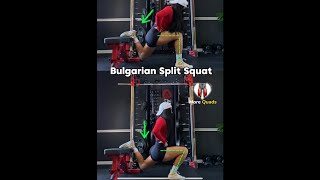 Bulgarian split squat tips more glutes vs more quads [upl. by Drofwarc]