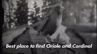 Best LocationGuide to find Oriole and Cardinals in Red Dead Redemption 2 [upl. by Chevalier]