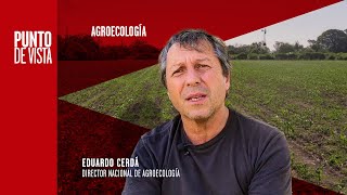 El campo del futuro beneficios y claves de la agroecología [upl. by Euqinaj]