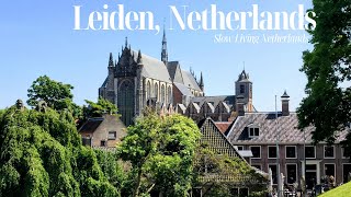 Journey Through Leiden Exploring the Citys Oldest Castle and Charming Canals  2024 4k [upl. by Lavelle]