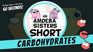 Carbohydrates  Amoeba Sisters Shorts [upl. by Alethea886]