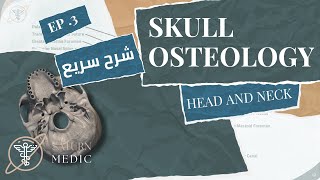 Skull Osteology Inferior View  تشريح عملي [upl. by Ledniahs124]