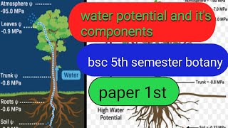 water potential bsc 5th semesterwater potential and its componentswaterpotentialbotany [upl. by Lois]