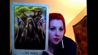 Tarot Reviews with Cinta The Viking Oracle [upl. by Reginauld401]