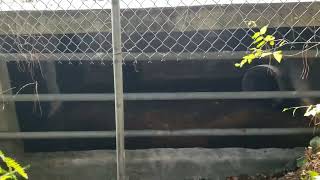 Investigating a freshly quotSealedquot water control structure At Lake Earle [upl. by Nimzzaj]