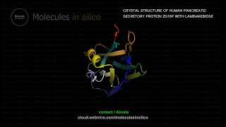 Molecules in silico ･ CRYSTAL STRUCTURE OF HUMAN PANCREATIC SECRETORY PROTEIN ZG16P WITH LAMINARIB [upl. by Chapell553]