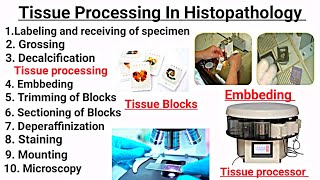 Tissue processing In Hindi  Embbeding  Staining  Deperaffinization  Sectioning of Tissue [upl. by Henley]