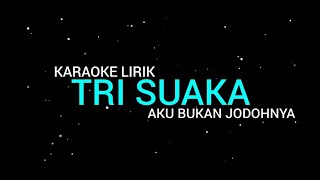 Tri Suaka  Aku Bukan Jodohnya Karaoke Lirik [upl. by Rahm435]