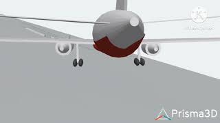 Red Wings Flight 9268  Crash Animation [upl. by Omik]