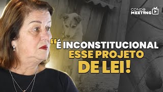 Maus tratos contra animais é RESPONSABILIDADE do Síndico  Condomeeting [upl. by Aivyls792]